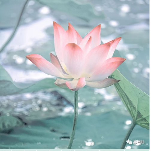 定了！今年居民醫保繳費標準每人每年350元！